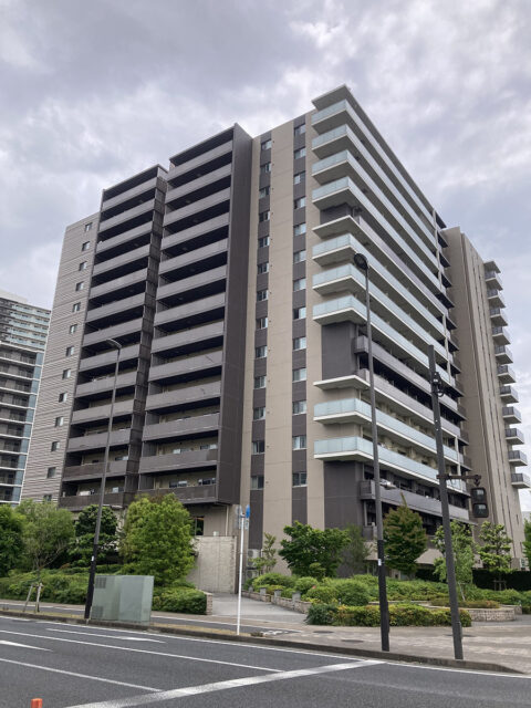 柏の葉皮ふ科