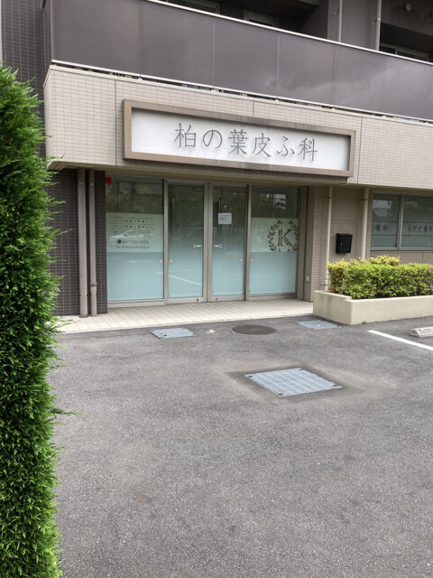柏の葉皮ふ科